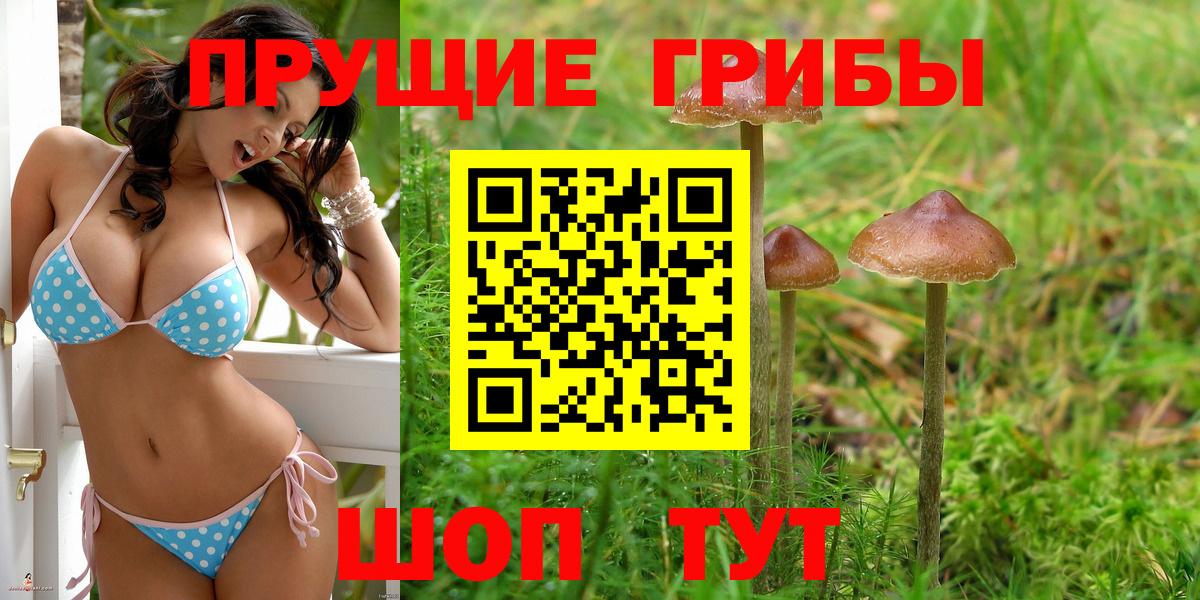 Псилоцибиновые грибы Psilocybine cubensis  Вход с VPN  Избербаш 