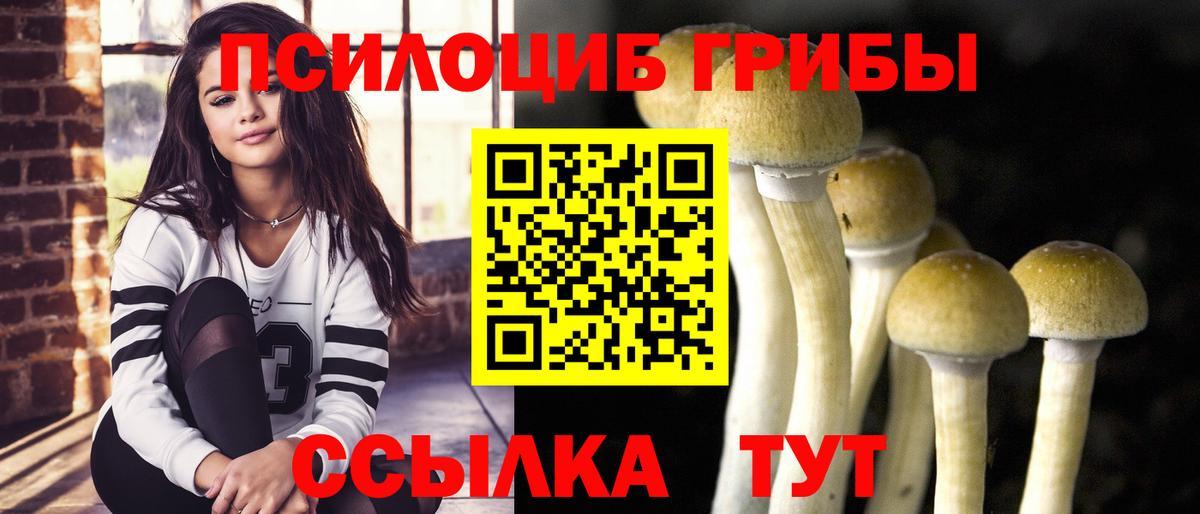 Псилоцибиновые грибы Magic Shrooms Избербаш